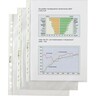 HETZEL Prospekthülle Economic 22464490 DIN A4, 100St/Pck