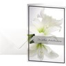 SIGEL Trauerkarte Amaryllis DS006 11,5x17cm +Umschläge, 10St/Pck