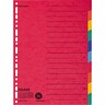 FALKEN Karton Register 24x29,7cm 10-teilig