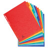 EXACOMPTA Register A4 12-tlg. Colorspankarton, mehrfarbig