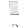 FRANKEN Flipchart Mobil FC41 67x95cm Sternfuß hellgrau