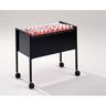 DURABLE Hängemappenwagen ECONOMY 80 309501 65,5x59,2x36,8cm sw