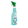 GREEN CARE PROFESSIONAL Glasreiniger Sprühflasche 0,75l