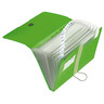 HERLITZ Fächermappe A4 PP easy to go 12Fächer, apfel