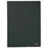 LEITZ Eckspanner 39800095 DIN A4 250Blatt Colorspankarton schwarz