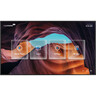 LEGAMASTER DISCOVER 2 65