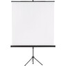FRANKEN Stativleinwand X-tra!Line LWST218 180x180cm Dreibeinstativ