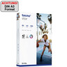 INAPA Kopierpapier tecno star A3/80gr weiß, 500Bl/Pck