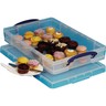 REALLY USEFUL BOX Aufbewahrungsbox 10C 34x8,5x52cm 10Ltr transparent