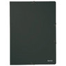 LEITZ Eckspanner 39800095 DIN A4 250Blatt Colorspankarton schwarz