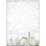 SIGEL Designpapier White Stars DIN A4 DP013, 25Bl/Pck