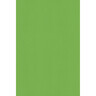 STEWO Geschenkpapier Uni Basic 70cm 2m hellgrün Kraftpapier Rolle