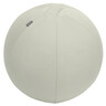 LEITZ Sitzball Active Anti-Roll-Funktion Ø65cm, hellgrau